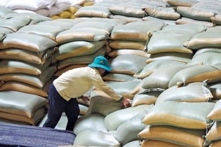 Xuất khẩu lúa gạo vào “đường ray” mới   
