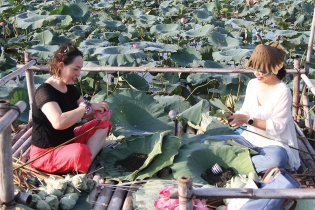 Hương vị Tết từ những đầm sen tiền tỷ