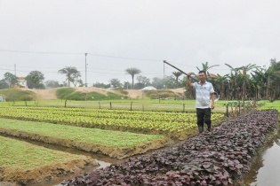 Loang lổ chuỗi đô thị Điện Nam - Điện Ngọc
