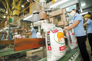 Thị trường thức ăn chăn nuôi: Bấp bênh vì phụ thuộc nhập khẩu