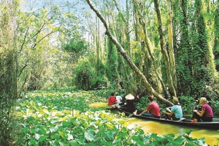 Du lịch Ðồng Tháp tìm giải pháp thích ứng trong tình hình mới