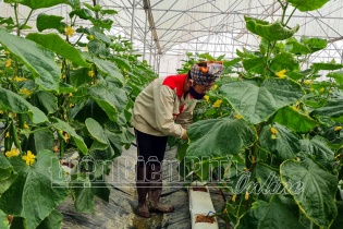 Điện Biên hỗ trợ doanh nghiệp nhỏ và vừa