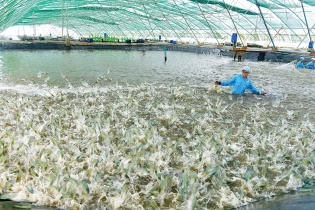 Kinh tế Bạc Liêu khởi sắc ngay từ đầu nhiệm kỳ
