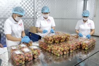 Hải Dương: Nét mới trong xúc tiến thương mại tiêu thụ nông sản