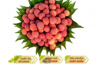 Các sàn thương mại điện tử lớn đồng loạt mở bán vải thiều Bắc Giang