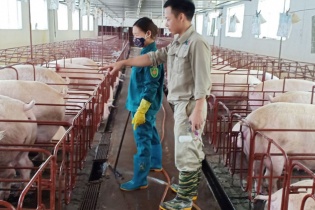 Bắc Ninh: Khi nông dân đầu tư lớn