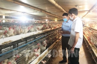 Hải Dương: Cẩm Giàng khuyến khích các hộ tham gia "sân chơi" OCOP