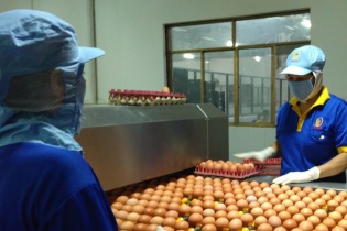 Doanh nghiệp thực phẩm TP.HCM đảm bảo “ba tại chỗ”