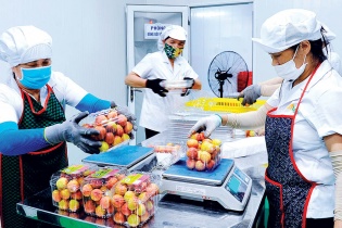 Nâng tầm giá trị sản phẩm nông nghiệp