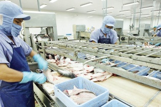 Tận dụng ưu đãi thuế quan từ 3 FTA khi xuất hàng đi Nhật