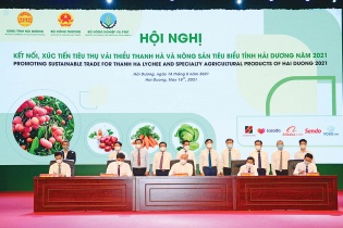 Hải Dương vượt bẫy lợi thế để xác lập vị thế mới