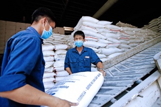 Nhà nhập khẩu “mách nước” cho nông sản Việt bám chắc thị trường quốc tế