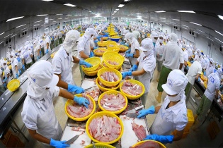 Thủy sản tổn thất nặng nề nếu để mất thị trường EU