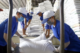 Xuất khẩu gạo gặp khó ở khâu vận chuyển