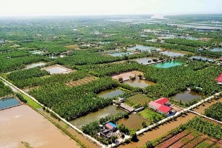 Nâng cao chất lượng sống cho nông thôn Hải Phòng