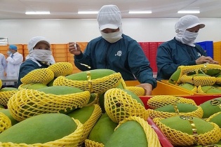 Báo chí đồng hành cùng doanh nghiệp nâng vị thế hàng Việt