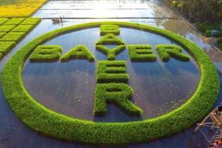 Bayer nỗ lực thực hiện tầm nhìn “Người người khỏe mạnh, Nhà nhà ấm no”