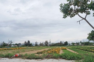 “Hiệu ứng domino” vây nhiều dự án ở Quảng Nam - Bài 3:  “Bãi rác” dự án khó dọn