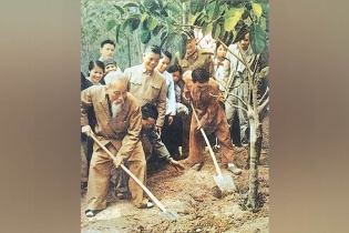 “Văn hóa soi đường cho quốc dân đi”