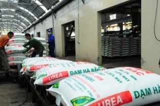 Đạm Hà Bắc bấp bênh triển vọng lợi nhuận