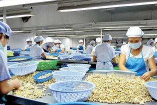 Nghi án lừa đảo lớn nhất trong lịch sử ngành điều Việt Nam: Chứng từ gốc bất ngờ xuất hiện trong tay… người lạ