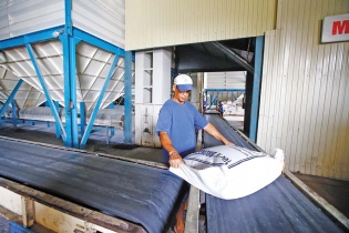 Xuất khẩu gạo sang thị trường RCEP sắp chạm mốc tỷ USD