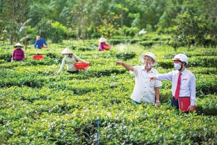 "Bộ đội chủ lực" trong cuộc chiến chống tín dụng đen 