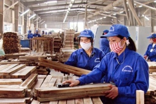 Gỗ Trường Thành vẫn khó khăn sau nhiều năm tái cấu trúc