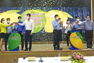 Chung sức phát triển thương hiệu “Xoài Cao Lãnh”