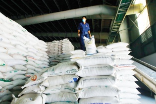 Gạo Việt chinh phục thị trường khó tính