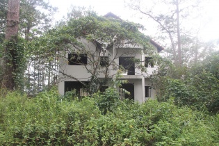 Biệt thự, homestay lấn chiếm đất rừng ở Măng Đen