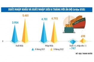 Việt Nam chuyển từ nhập siêu sang xuất siêu với Ấn Độ