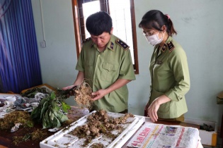 Thuốc và thực phẩm chức năng giả hoành hành
