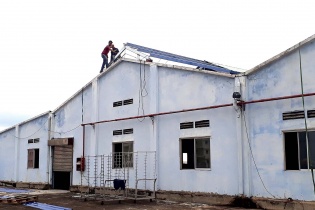 Vật vã tìm cửa sinh cho “xác sống” DAMCO