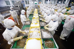 Xuất khẩu sang châu Mỹ thắng lớn nhờ “đòn bẩy” CPTPP
