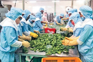 Cơ hội để nông sản chinh phục thị trường tỷ dân