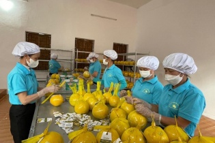 Hàng Việt hối hả sang Anh