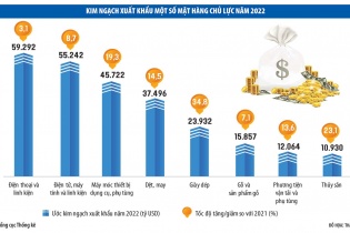 Những “mảnh ghép” tạo nên kỳ tích xuất khẩu