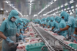 Ngành thủy sản nỗ lực mở rộng thị trường xuất khẩu