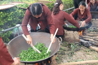 Thương nhớ vị trà xưa