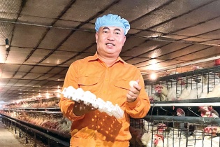 Phan Trung Kiên, nhà sáng lập Trứng gà cà gai leo Sadu: Nuôi gà hạnh phúc, thu trứng “hàng hiệu”