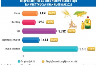 Nghịch lý ngành chăn nuôi: Đầu vào tăng cao, đầu ra giảm sâu