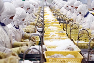 Khai phá thị trường xuất khẩu Tây Á