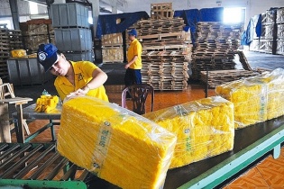 Khó khăn chồng chất, nhiều công ty cao su phải tạm ngừng kinh doanh  