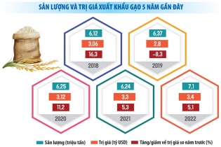 Định hướng xuất khẩu gạo: Giảm dần về lượng, tập trung tăng giá trị