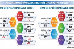 “Đổi màu” lợi nhuận sau mùa soát xét