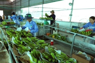 Xuất khẩu nông nghiệp ngắm đích 54 - 55 tỷ USD