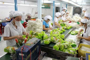 Bùng nổ đơn hàng, gạo và rau quả lập kỳ tích