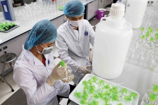 Sửa luật để gỡ khó cho doanh nghiệp dược