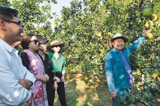 Du lịch Chi Lăng (Lạng Sơn): Điểm nhấn tour trải nghiệm gắn với vườn trái cây